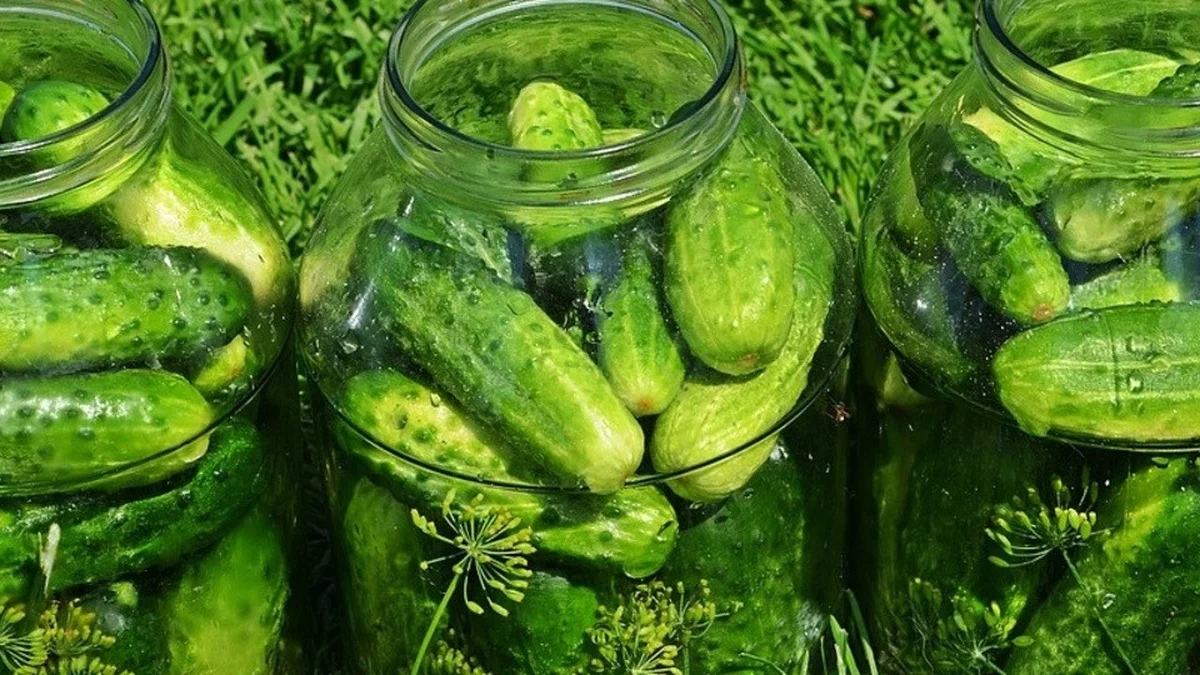Gurken Einlegen: 3 Rezepte für knackige Essiggurken, die bis zu 6 Monate halten