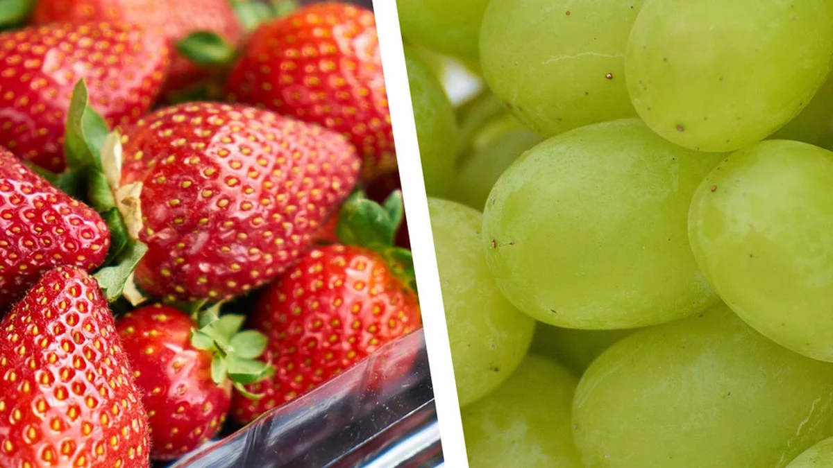 Saisonales Obst August: 9 Sorten, bei denen du das Herkunftsschild lesen musst