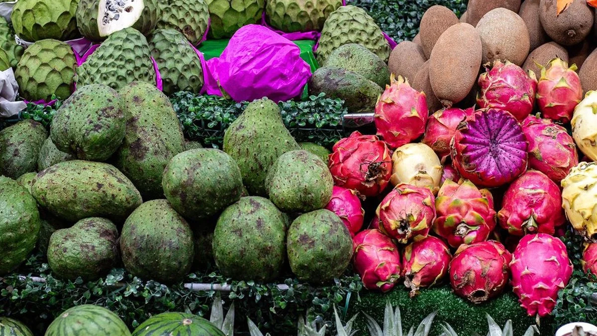 Avocado bis Mango selbst ziehen: Der vollständige Leitfaden für 6 exotische Pflanzen