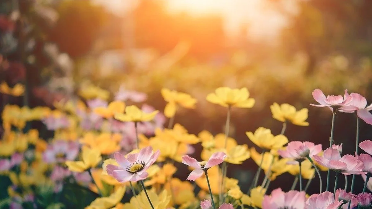 Vielfaltsgarten anlegen: Wie alte Sorten und 3 Prinzipien Insekten und Vögel retten