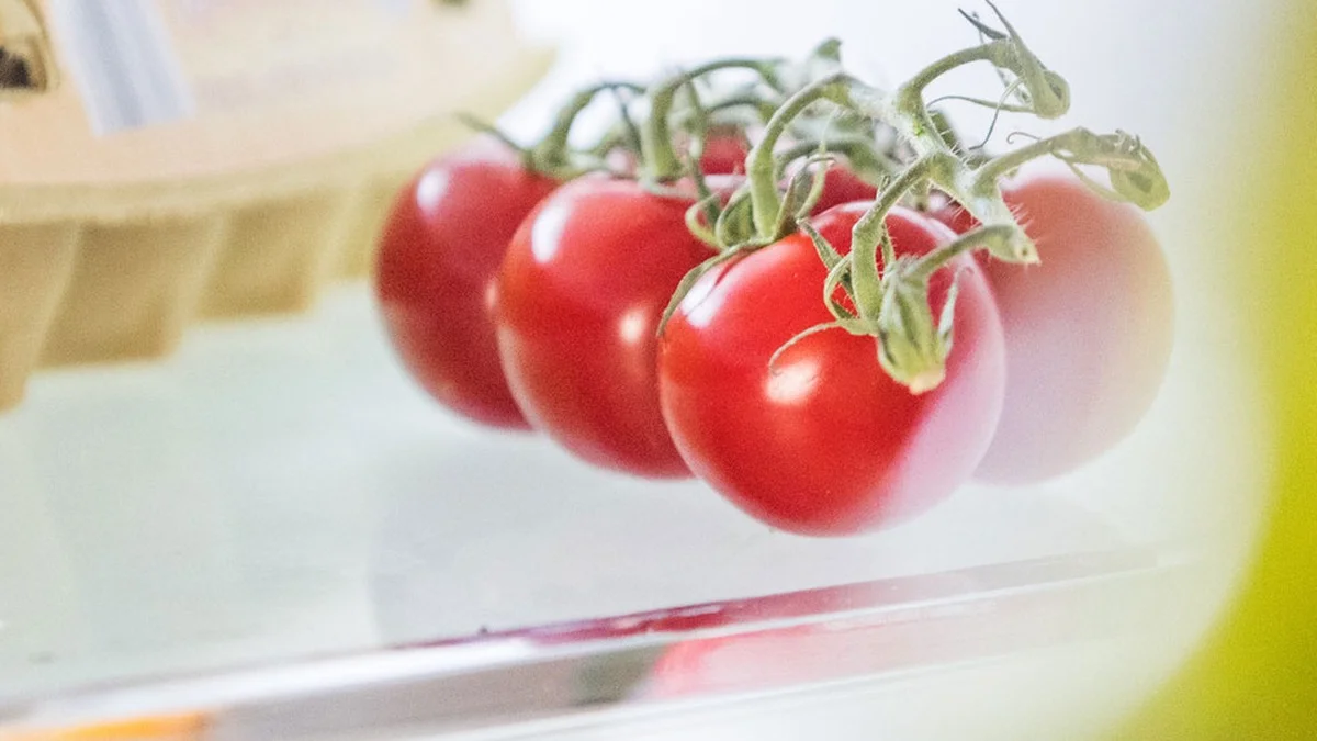 Tomaten im Kühlschrank: Warum du sie mindestens einen Tag vorher herausnehmen solltest