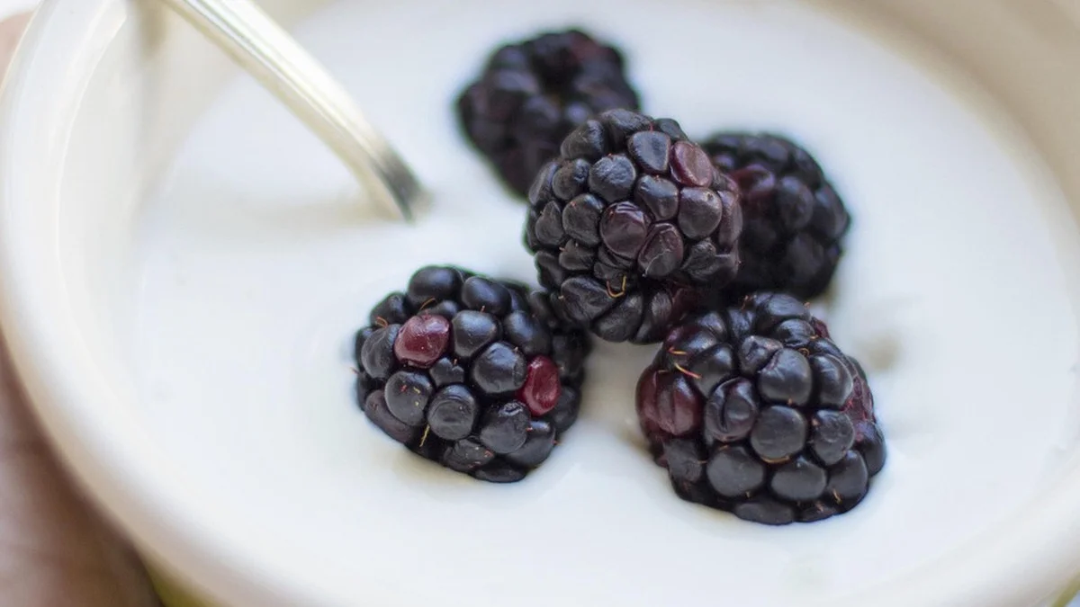 Täglich Joghurt essen: Was 300 Gramm pro Tag mit deinem Körper machen