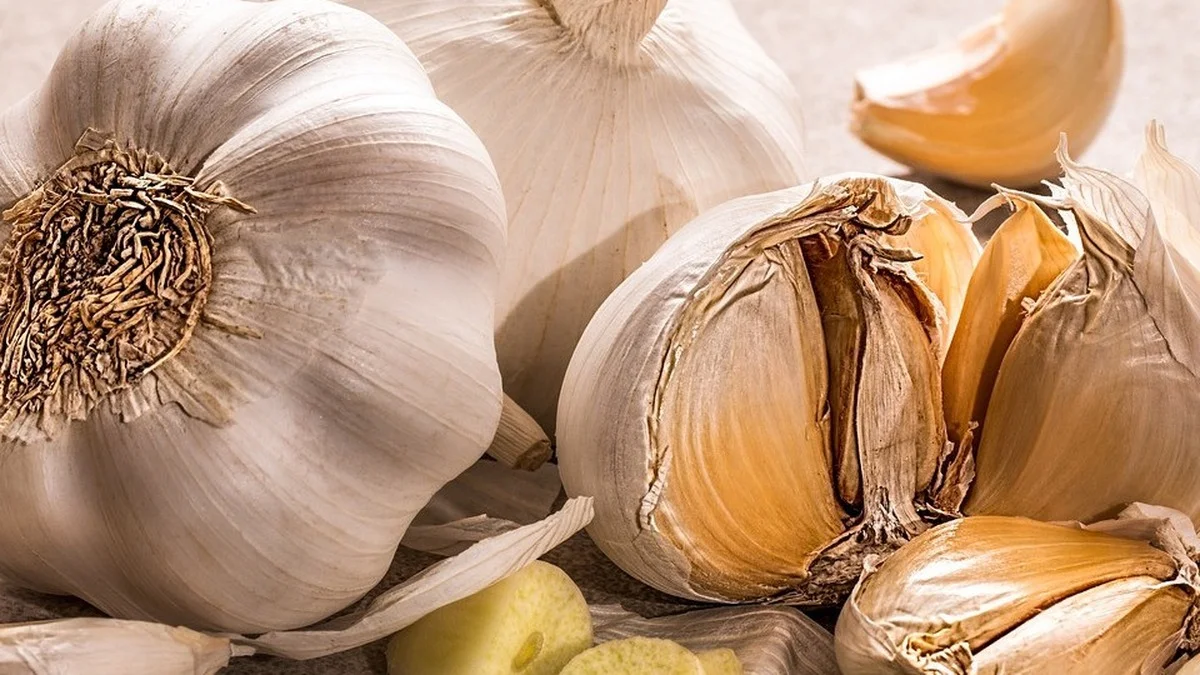 Knoblauch haltbar machen: 5 Methoden, die das ganze Jahr über frischen Geschmack sichern
