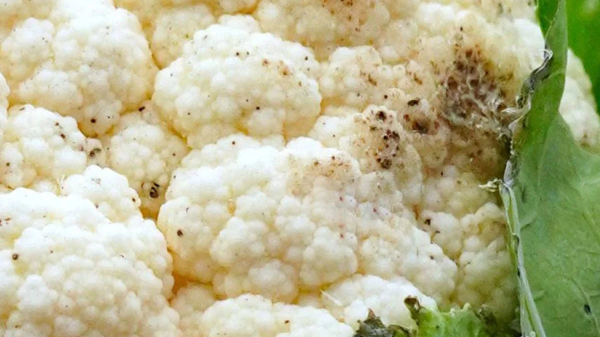 Blumenkohl schwarze Punkte: Wann das Gemüse wirklich in den Müll muss