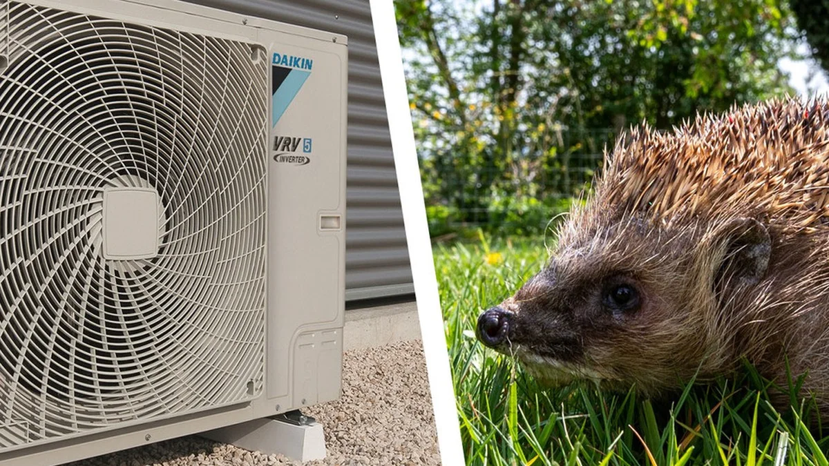Wärmepumpe & Igel: Der einfache Schutz, der ein Tierleben rettet