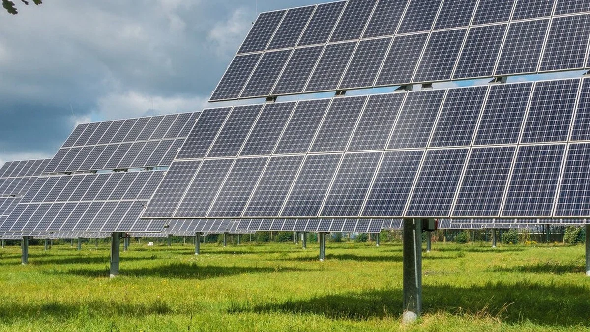 Solar Grazing im Solarpark: Was Schafe wirklich leisten – und welche Pflichten du übernimmst