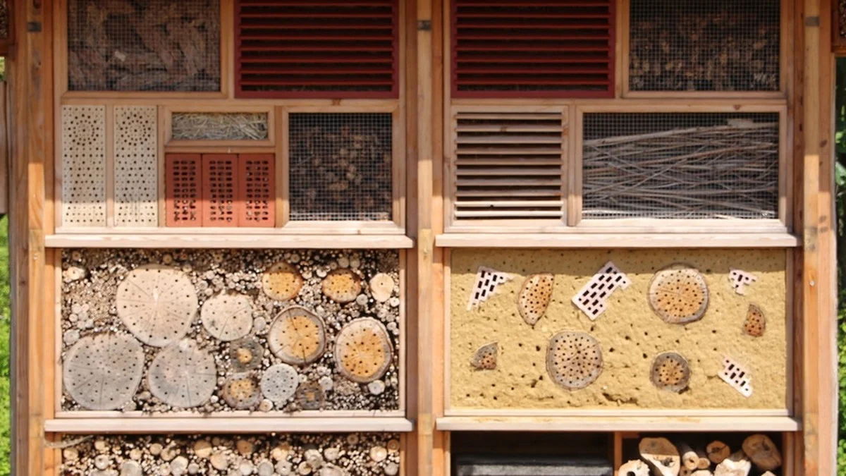 Insektenhotel leer – diese Standort- und Baufehler schrecken Wildbienen ab