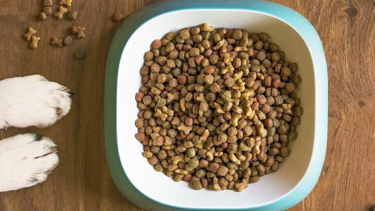 Hundefutter-Zutatenliste: Diese Inhaltsstoffe können Allergien oder Verdauungsprobleme auslösen