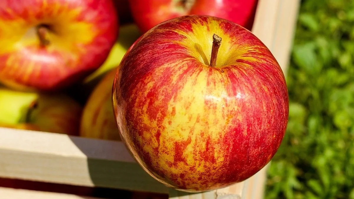 Apfelmark selber machen – nur zwei Zutaten, kein Zucker