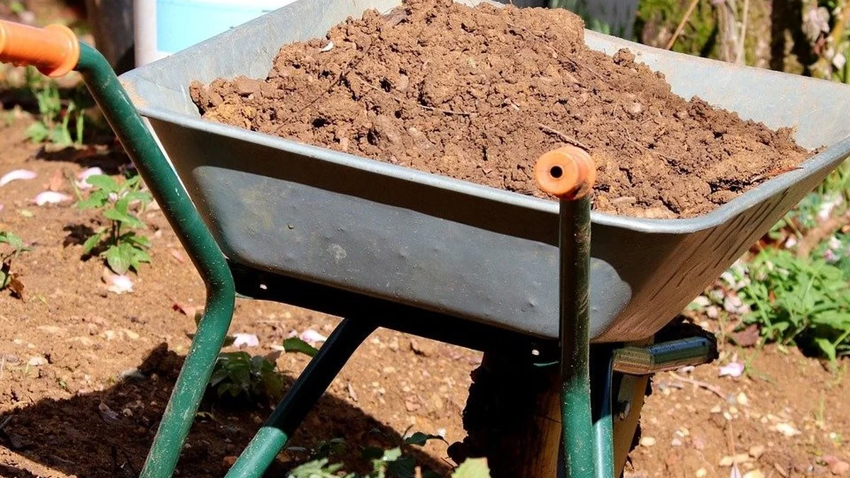 Gartenerde verbessern: Welche Hausmittel wirklich helfen – und bei welchem Bodentyp