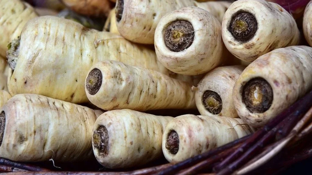 Pastinake und Petersilienwurzel unterscheiden – drei Merkmale helfen sicher