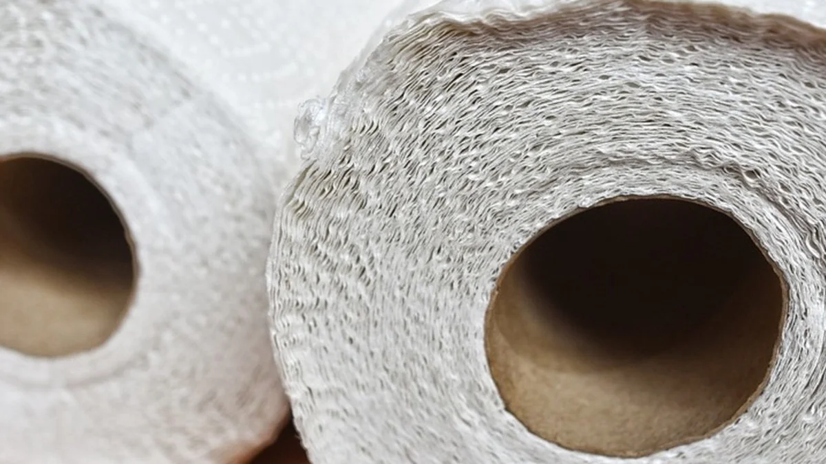 Küchenrolle entsorgen: Warum sie nicht ins Altpapier gehört – und wohin stattdessen