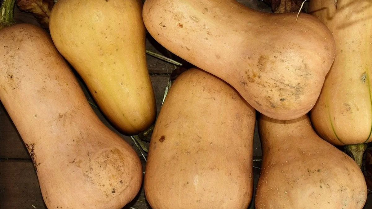 Butternut-Kürbis schälen oder nicht – wann die Schale dranlassen sinnvoll ist