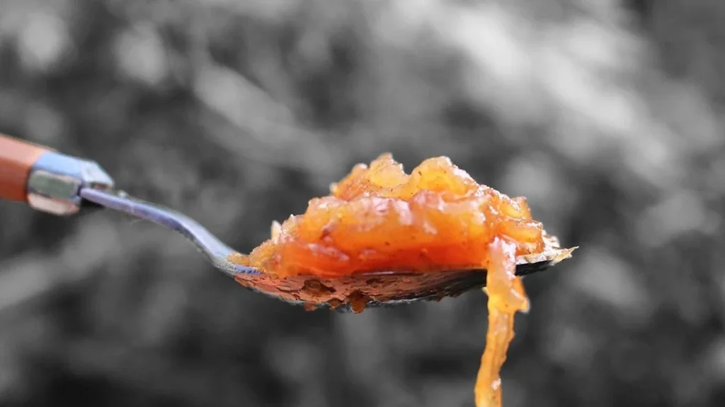 Quittenchutney selber machen – mit diesem Rezept gelingt es im Herbst