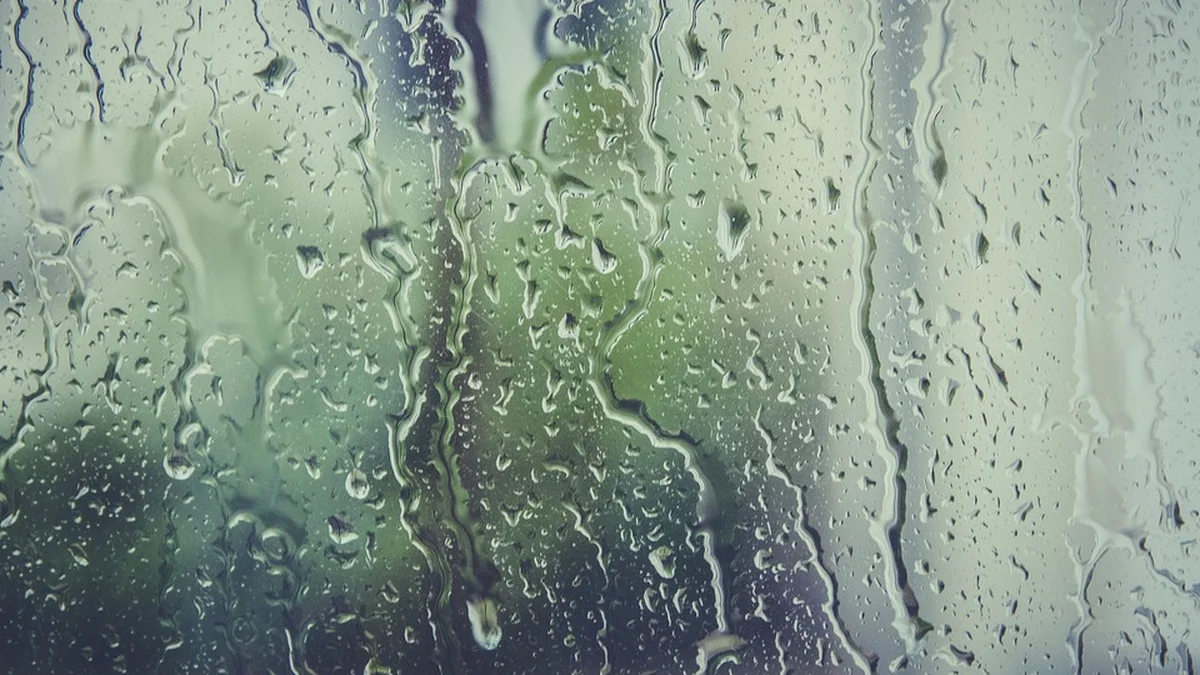 Lüften bei Regen: Warum 10 Grad Außenluft deine Wohnung trockener macht