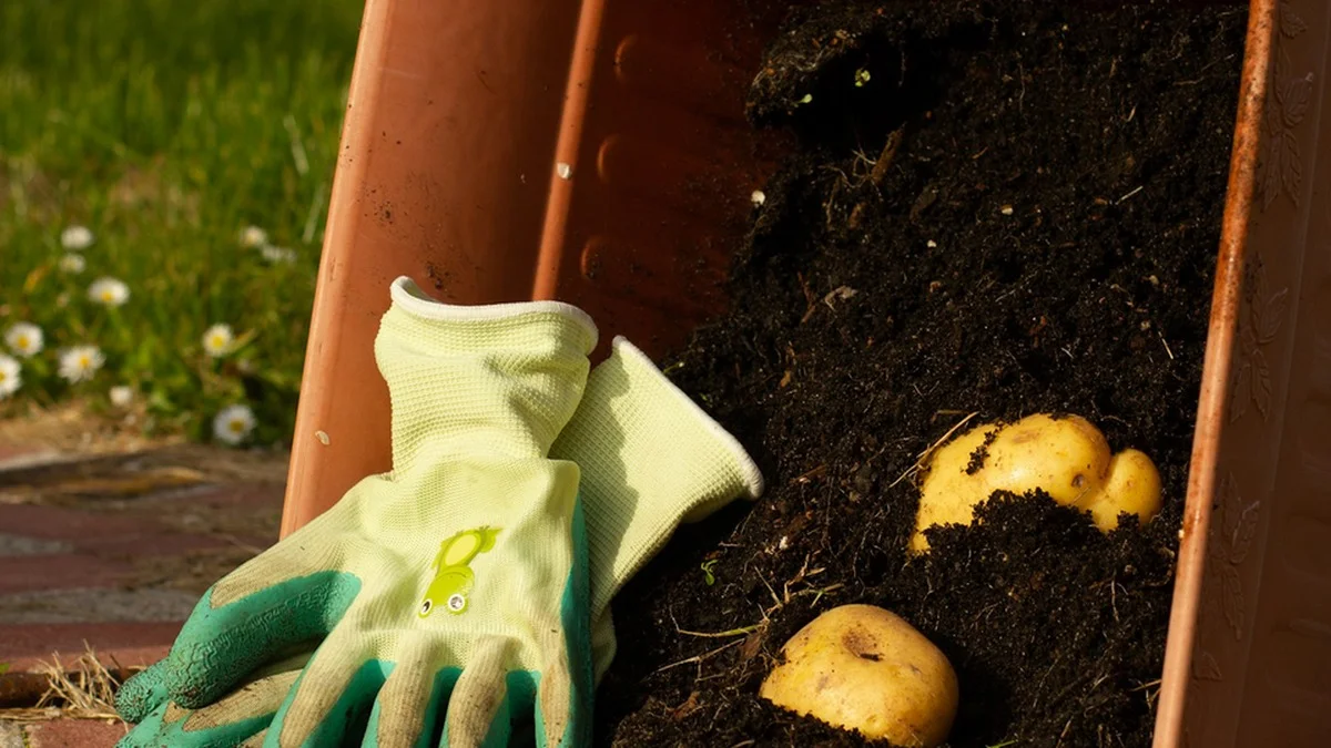 Herbstgarten-Fehler: 10 Dinge, die Igeln und Bienen jetzt schaden – mit besseren Alternativen